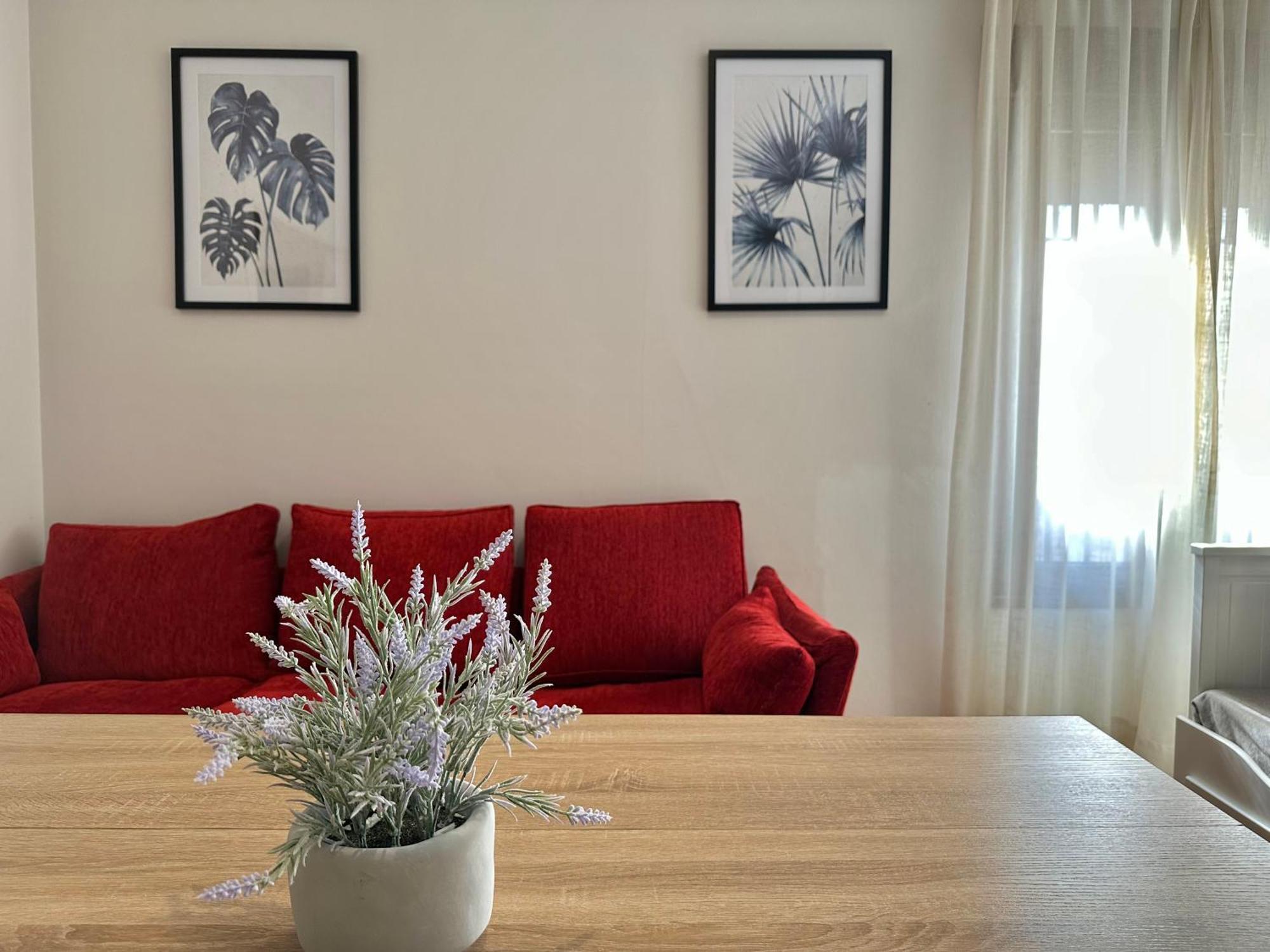 Ferienwohnung La Sacristia De San Pablo Córdoba Exterior foto